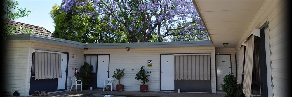 Red Cedar Motel Muswellbrook Buitenkant foto