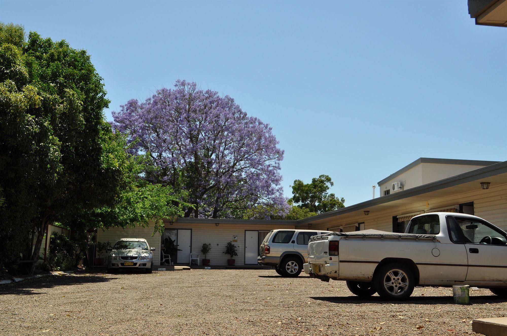 Red Cedar Motel Muswellbrook Buitenkant foto